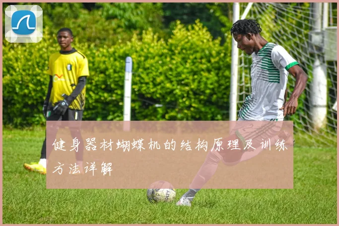 健身器材蝴蝶机的结构原理及训练方法详解