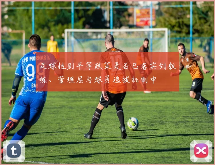 足球性别平等政策是否已落实到教练、管理层与球员选拔机制中