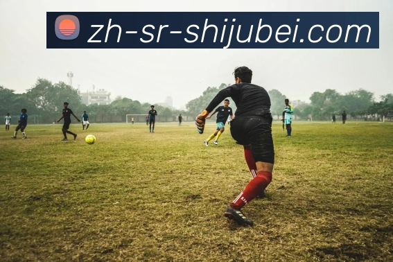 世界杯赛程表服务体系