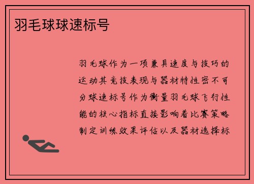 羽毛球球速标号