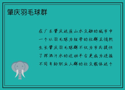 肇庆羽毛球群